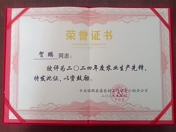 榮譽證書.jpg