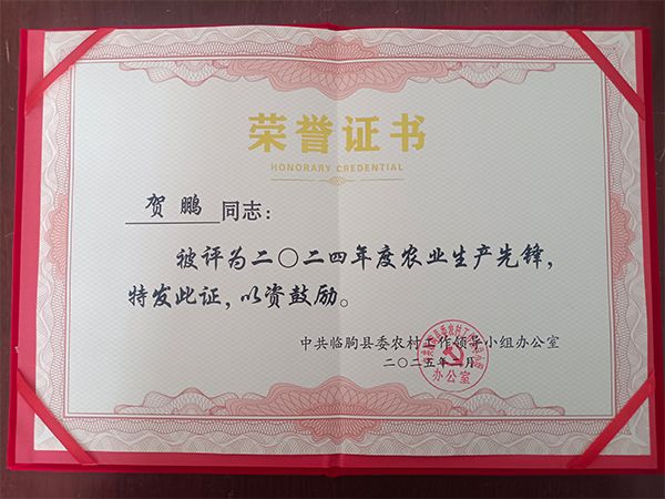 榮譽(yù)證書